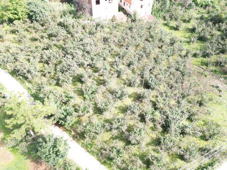 775 - Ulubey Çatallı Mahallesinde Kat Karşılığı İmarlı Arsa