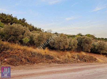 Osmangazi Dürdane Köyünde Satılık 2185m2 Tarla