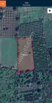 Golden Globy, Havran-tekke'de Satılık 7752 M2 Tarla