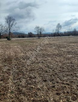 Kütahya Tavşanlı Ovacık Köyü Satılık Tarla