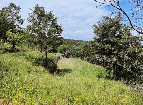 Dialog Piramit Gayrimenkulden Satılık Hobi Bahçesi