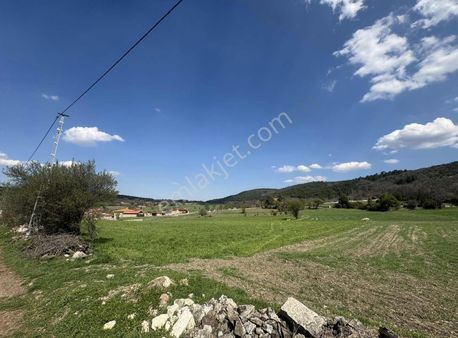 Kütahya Tavşanlı Karcık Mah. Satılık Tarla