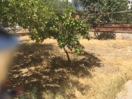 Sertaç Gayrimenkulden Merkezi Konum Da 3kat İmarlı Arsa