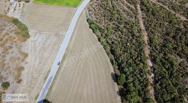 Emre Çevik'den Yenişehir Papatya Asfalt Yola Cephe 2000m2 Tarla