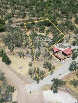 Assos'ta Muhteşem Manzaralı Zeytinlik