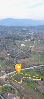 Kuşadası Kirazlı Köy Merkezine Yürüme Mesafesinde Tarla