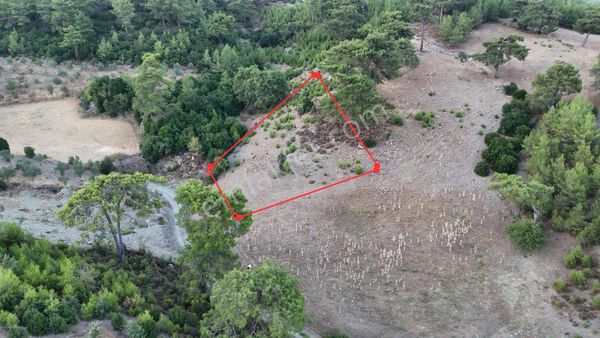 Muğla Menteşe Meke De Satılık Uygun Fiyata Tarla