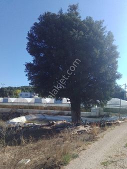 Satılık 3278 M² Tarla Mersin Erdemli Küstüllü