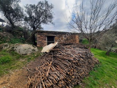 Muğla Milas Hasanlar’da Projeli Ruhsatlı 1284 M² Arsa