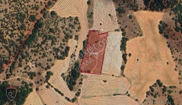 Sarayören Köyünde Satılık Tek Tapulu Tarla