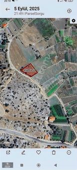 Derebucak Çamlıkta Fırsat Bahçe