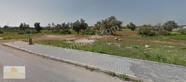 Kolezyum'dan Mezitli De 25 Lik Yol Cepheli Ticari Köşe Parsel !