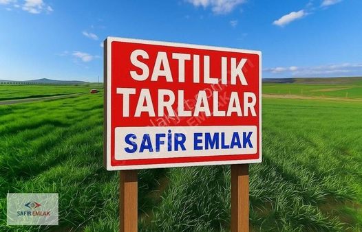 Safir'den Kütahya Merkez Elmacık Köyün'de Satılık 10 Parça Tarla