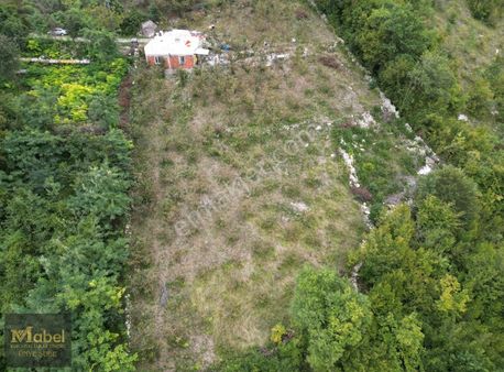 Mabel'den Çatalpınar Mevkii Kale Manzaralı Satılık Tarla