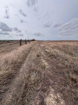 Önerler Mah.13 Dönüm İmara Yakin Tek Tapu Tarla