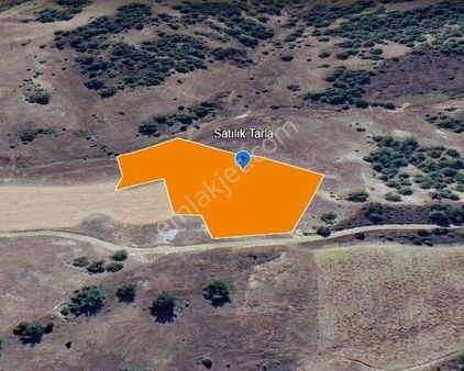 Bilecik Söğüt En Gelişmiş Köyü Küre De Satılık Tarla