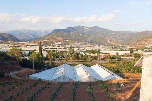 Gazipaşa Ekmel’de 1.001 M² Satılık İmarlı Arsa