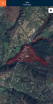 Golden Globy, Edremit-yaylaönü'nde​ Satılık 16,5 Dönüm Zeytinlik