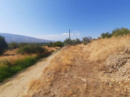 Uzunçamda Ulaşımı Kolay Zeytinlik..