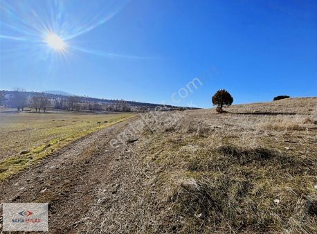 Safir'den Ahiler'de Resmi Yola Cephe Fırsat 9985m2 Tarla