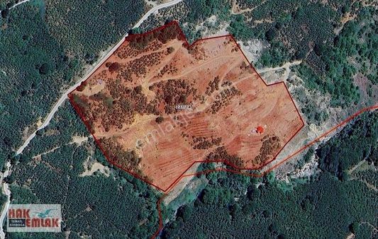 Hak Emlaktan Sakarya Akyazı Taşyatak Mah. Satılık 56.740m² Bahçe