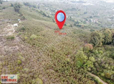 Hak Emlak'tan Yeni Aynalı Köyünde Satılık 3.690 M² Fındıklık