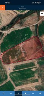 Asrın Emlak’tan Kangal Davulbaz Köyünde Satılık 32 Dnm Tektapu Tarla