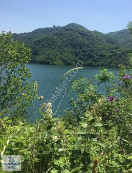 Turyap'tan Kocaeli Başiskele De Satılık Arazi Yatırımlık