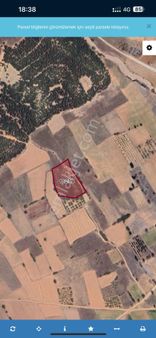 Isparta Keçiborlu Senirde 5100 M2 Lavanta Bahçesi