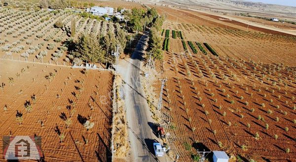 Çiftçiden Satlık Milli Servet