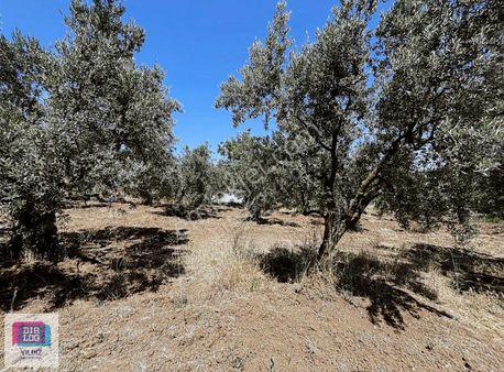 Dialog Yıldız / Villa İmarlı Satılık Manzaralı Arsa