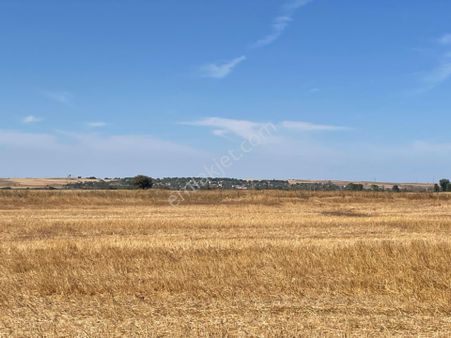 Tekirdağ Hayrabolunda Satılık 938 Metre Fırsat Arsa