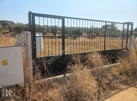 Rotaa Gayrimenkulden Ormanköy'de Mirastan Bölme Satılıkzeytinlik