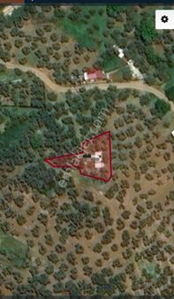 Ena Group Bursa Mudanya Çepni'de 330 M2 Satılık Zeytinlik