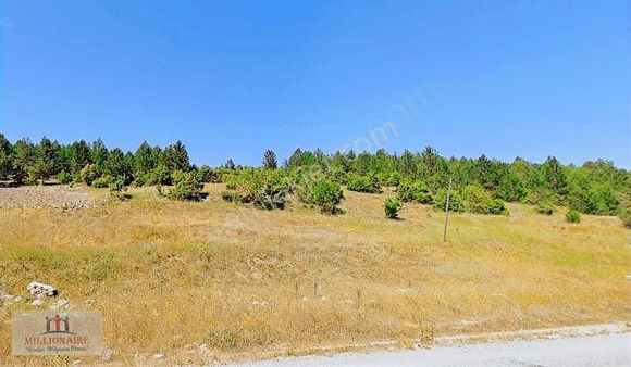 Proje Bölgesi Emet'te Ana Yol Üstü, Çiftliğe Komşu Müstakil Acil