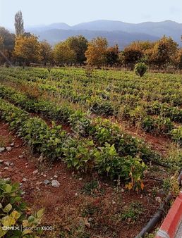 Onur Gayrimenkul Den Satılık Tek Tapulu Yatırımlık Arsa