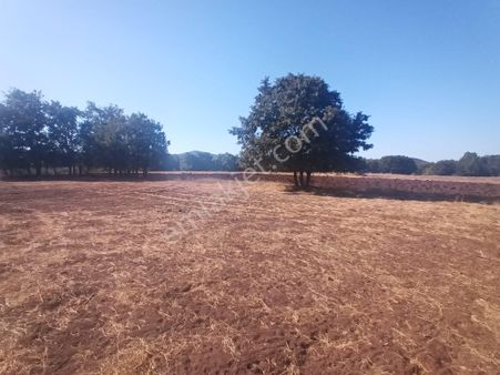 Century 21 Vizyon'dan Eskişehir Yarımca Mah. Satılık Tarla