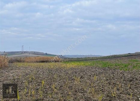 Hakan Girgin'den Karacabey Karakoca'da Satılık 452m² Arazi!