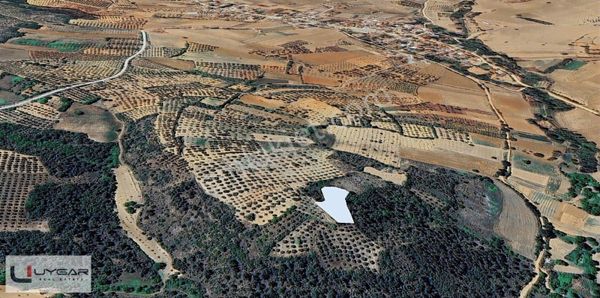 Yenişehir Eğerce Mh. Satılık 2.064 M2 Bahçe Fırsat Fiyat