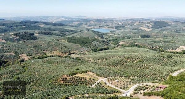Mudanya Mirzaoba'da Yatırımlık Arazi