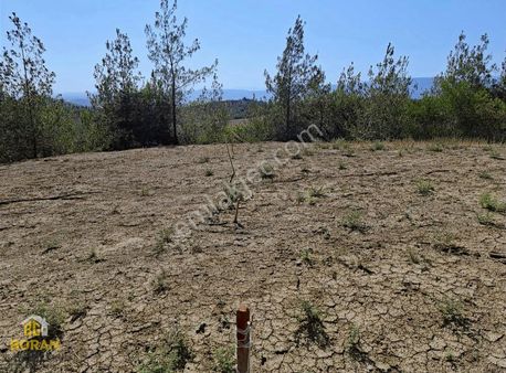 Adana Karaisalı, Çakallı Köyü 400 M2 Doğa İçi Fırsat Arazisi