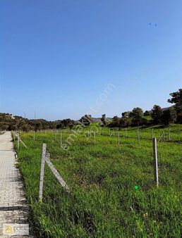 Urla Kekliktepe'de Doğanın Kalbinde 300m² Hobi Bahçesi