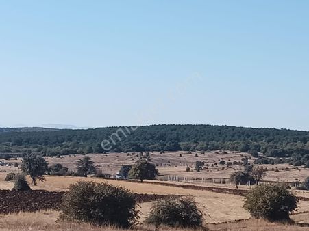 Century 21 Vizyon'dan Eskişehir Yarımca Mah. Satılık Tarla