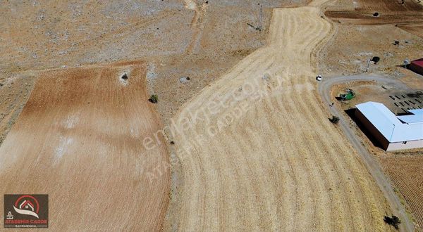 [acg]kozluk Köyünde 5584 M2 Fırsat Tarla