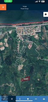 Ünye Gölevi Mahallesinde Deniz Manzaralı 5700 M2 Satılık Arsa