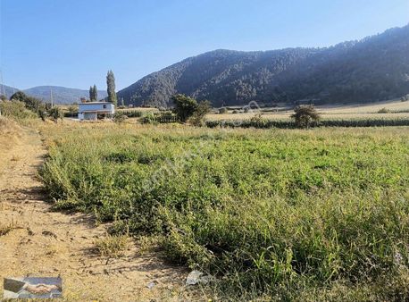 Ulus Emlak'tan Satılık Tarla