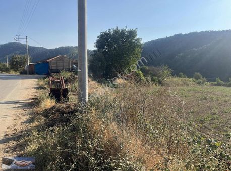 Ulus Emlak'tan Subatan Yaylasında Satılık Tarla