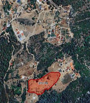 Antalya Çağlarcada Tam Bir Yatırım Fırsatı Satılık Tarla