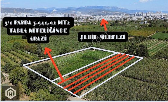 Bursa/osmangazi Çukurca'da Satılık 3.944 Mt2 İmara Yakın Tarla