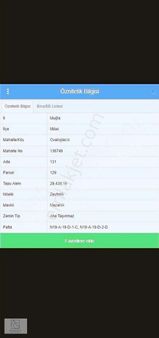 Ovakışlacık Köyünde Satılık Verimli Zeytinlik